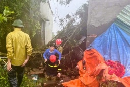 Tin tức trong ngày - Một bí thư thôn ở Thanh Hóa bị cây đè tử vong khi đi chống bão số 10 Bualoi