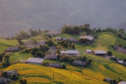 Du lịch - Bỏ túi những điểm săn lúa vàng Tây Bắc cực "hot"