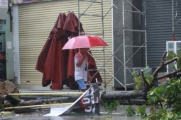 Bạn trẻ - Cuộc sống - Bà chủ khách sạn mở cửa đón người dân tránh bão