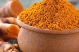 21 loại cây tốt nhất thế giới…