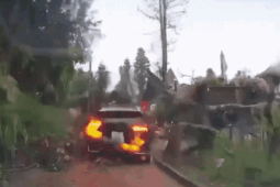 Media - Kinh hoàng cảnh đất đá bất ngờ sạt lở hất văng ô tô con xuống vực ở Lào Cai