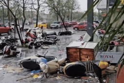 Tin tức trong ngày - Nghệ An tan hoang sau bão