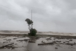 Tin tức trong ngày - Nhà sập, nhiều nơi chìm trong "biển" nước khi bão số 10 Bualoi đổ bộ