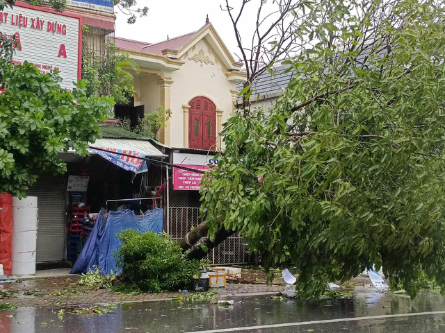 Ảnh: Đức Ngọc