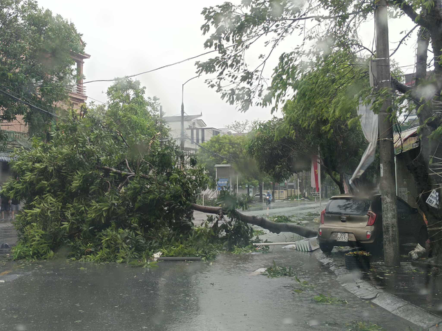 Ảnh: Đức Ngọc