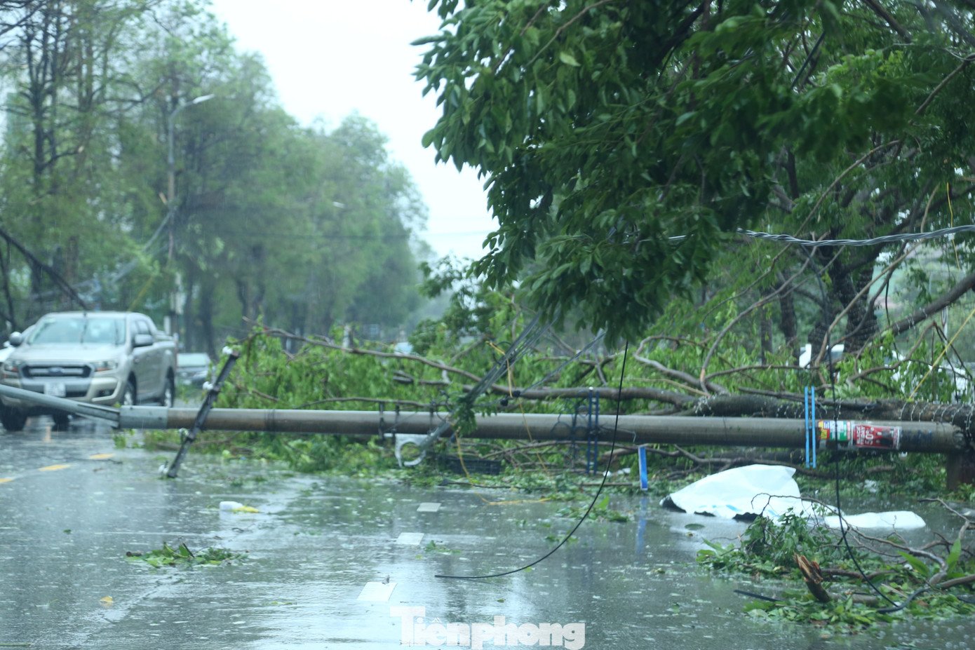 Nghệ An tan hoang sau bão - 7
