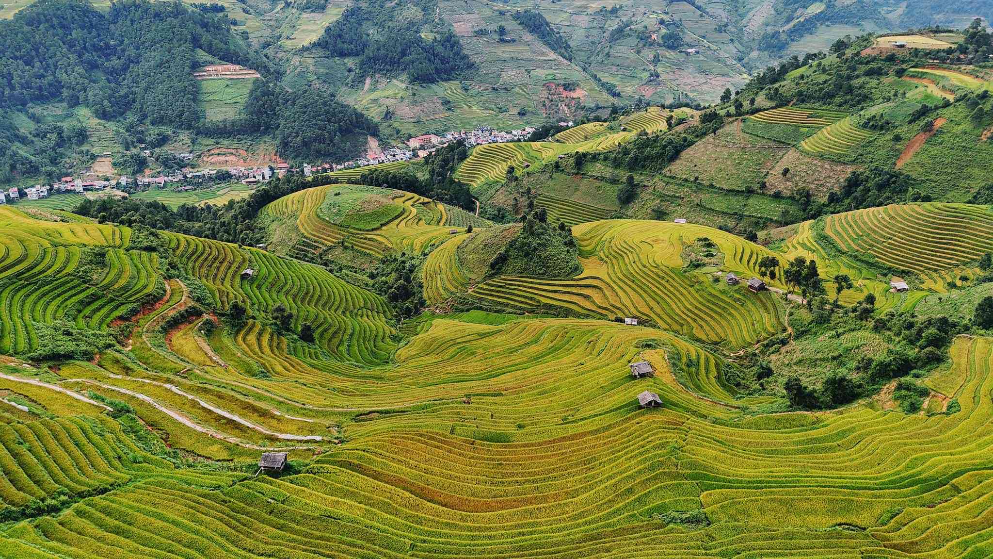 Khoảng tháng 9 - tháng 10, Mù Cang Chải “hot” hơn bao giờ hết bởi là thời điểm “săn mùa vàng”.&nbsp;Ảnh: Quang Tuyên.