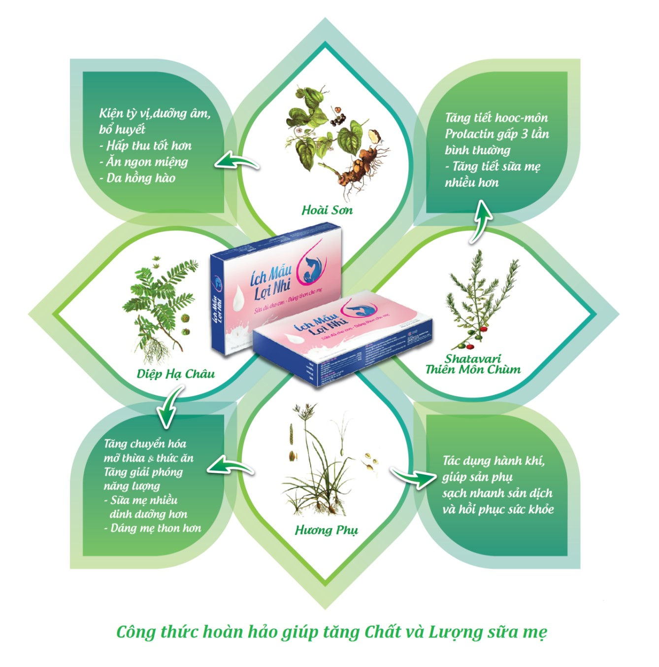 Mẹ chồng chê “ngực nhỏ – ít sữa ” sau sinh, mẹ bỉm sữa làm gì? - 3