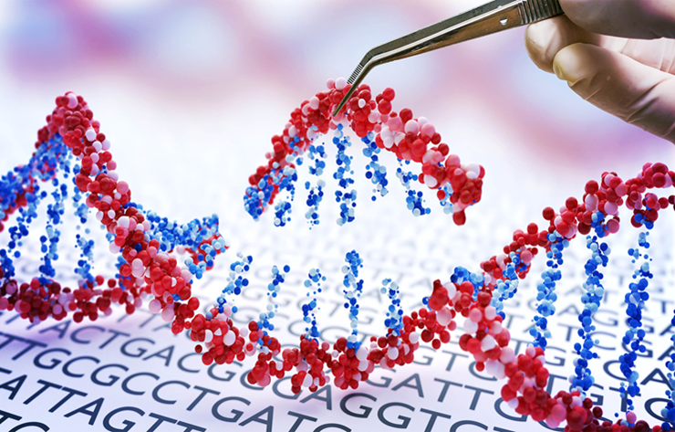Cơ chế vi phẫu thuật phân tử mang tên "lưỡi kéo" CRISPR-Cas9.