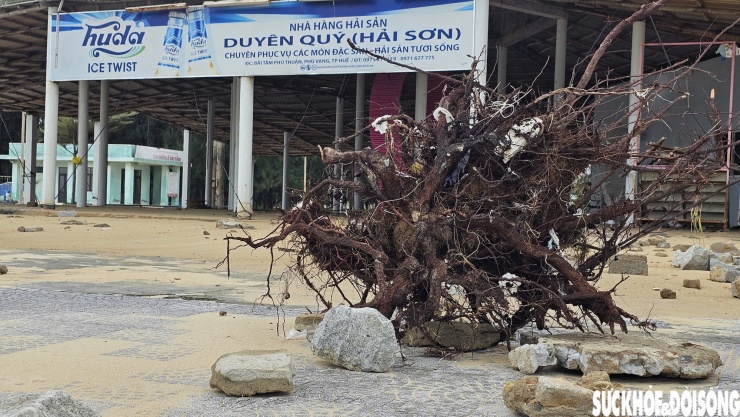 Đường ven bãi tắm ở Huế 'biến dạng' sau bão số 10 - 10