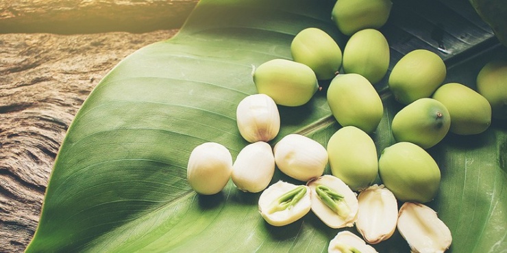 Hạt sen hầm khoai tây dưỡng tâm, an thần, bổ tỳ, ích thận.
