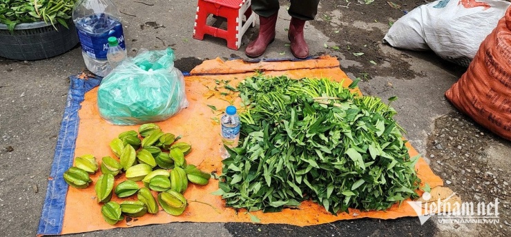 Rau muống, rau ngổ, khế chua... được bày bán hai bên cổng vào Sân vận động Đồ Sơn. Đây là những gia vị kèm theo khi chế biến thịt trâu chọi.