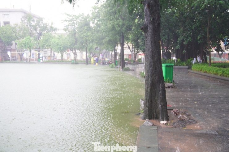 Dù công nhân thoát nước ứng trực tại các cửa cống quanh hồ liên tục điều tiết nhưng do lượng mưa lớn dẫn đến vẫn nhiều khu vực bị ngập cục bộ.