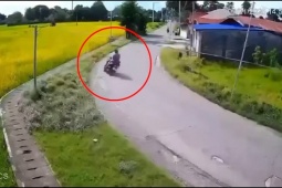 Clip: Ôm cua đường làng, hai xe máy liên tiếp lao xuống ruộng như phim hài