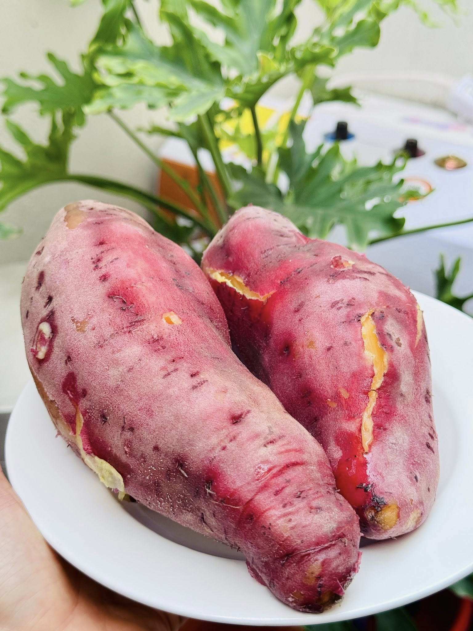 Khoai lang rửa thật sạch, cho vào nồi áp suất luộc khoảng 15 phút.