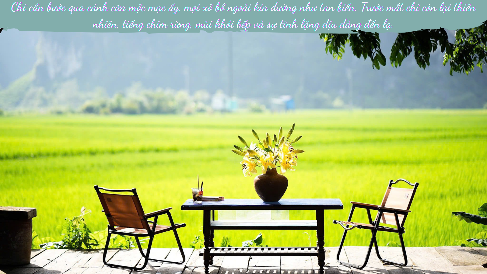 Biến quê hương xinh đẹp thành điểm du lịch "chữa lành" - 10