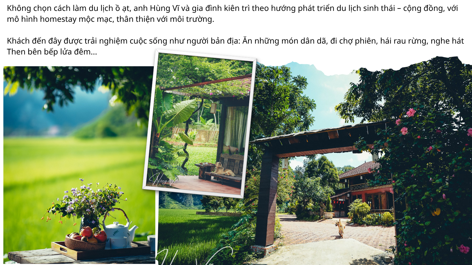 Biến quê hương xinh đẹp thành điểm du lịch "chữa lành" - 7