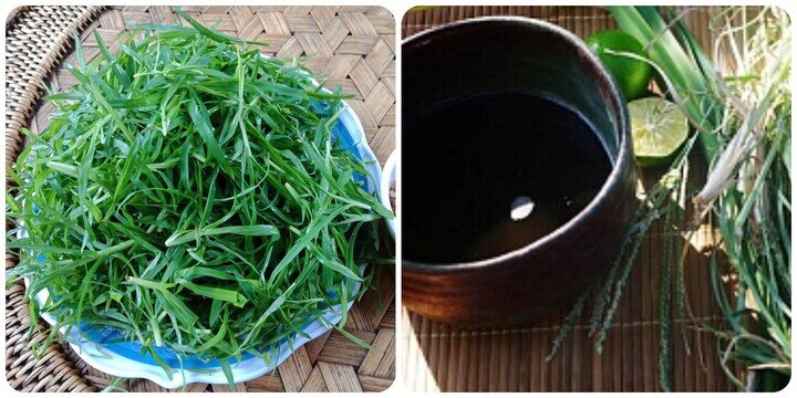Nước cỏ mần trầu rất tốt cho sức khỏe