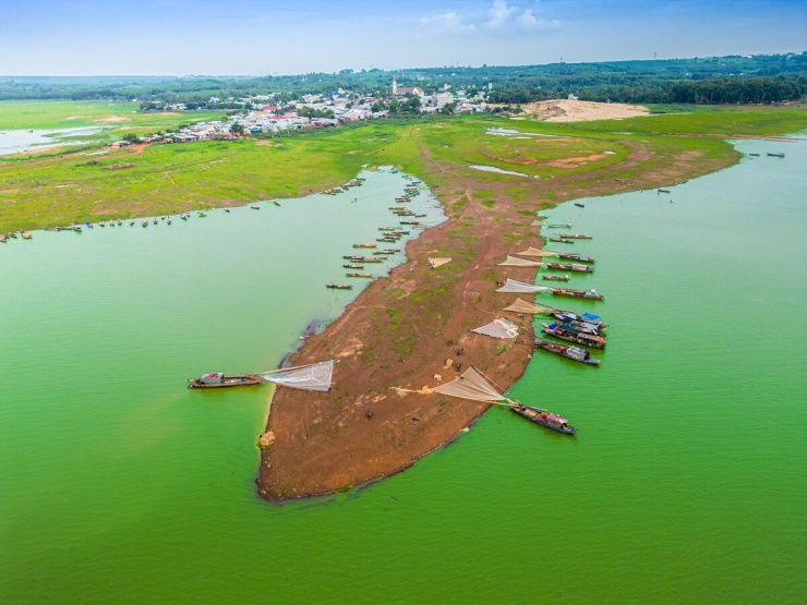 'Rễ phù sa khổng lồ' lộ diện ở hồ Trị An mùa nước cạn - 5