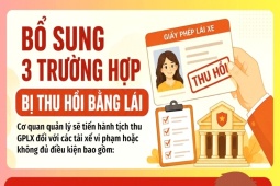 Thêm 3 trường hợp bị thu hồi bằng lái xe tài xế nhất định phải biết từ 1/7