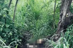 Công an kêu gọi cung cấp thông tin liên quan vụ bộ xương người trong khu đô thị Đại học Quốc gia TPHCM