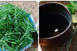Cỏ mần trầu nấu nước uống có tác dụng gì?