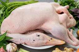 5 lý do để ăn thịt vịt ngay trong mùa hè này