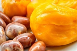 Mùa hè ăn mít đừng vội bỏ hạt, đây mới là phần bổ dưỡng ít người biết giúp bạn sống thọ hơn