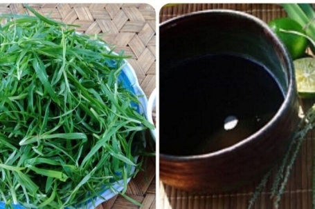 Cỏ mần trầu nấu nước uống có tác dụng gì?