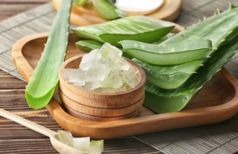Trong nha đam có chứa axit amin và nhiều loại vitamin, cung cấp dưỡng chất, hình thành một lớp màng bảo vệ da khỏi những tác nhân gây hại đến từ môi trường.
