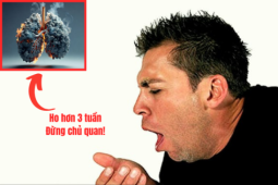 Tin tức sức khỏe - Đàm, ho, khó thở kéo dài mãi chưa dứt? Hãy thử trả lời 5 câu hỏi này trước khi quá muộn!