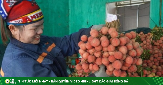 Vải thiều Bắc Ninh mất mùa vẫn lập kỷ lục doanh thu hơn 7.200 tỷ đồng