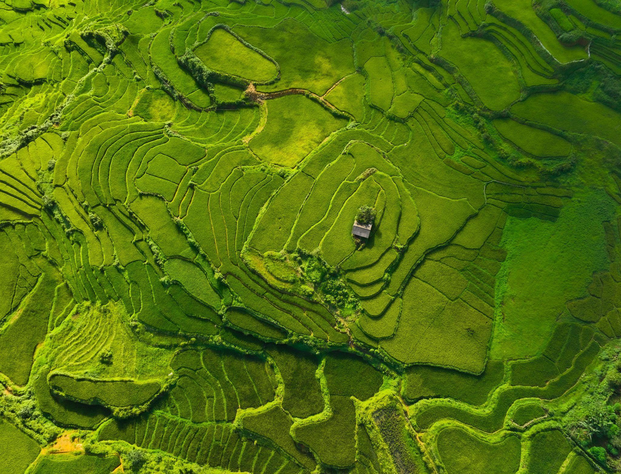 Ảnh: Dương Quốc Hiếu