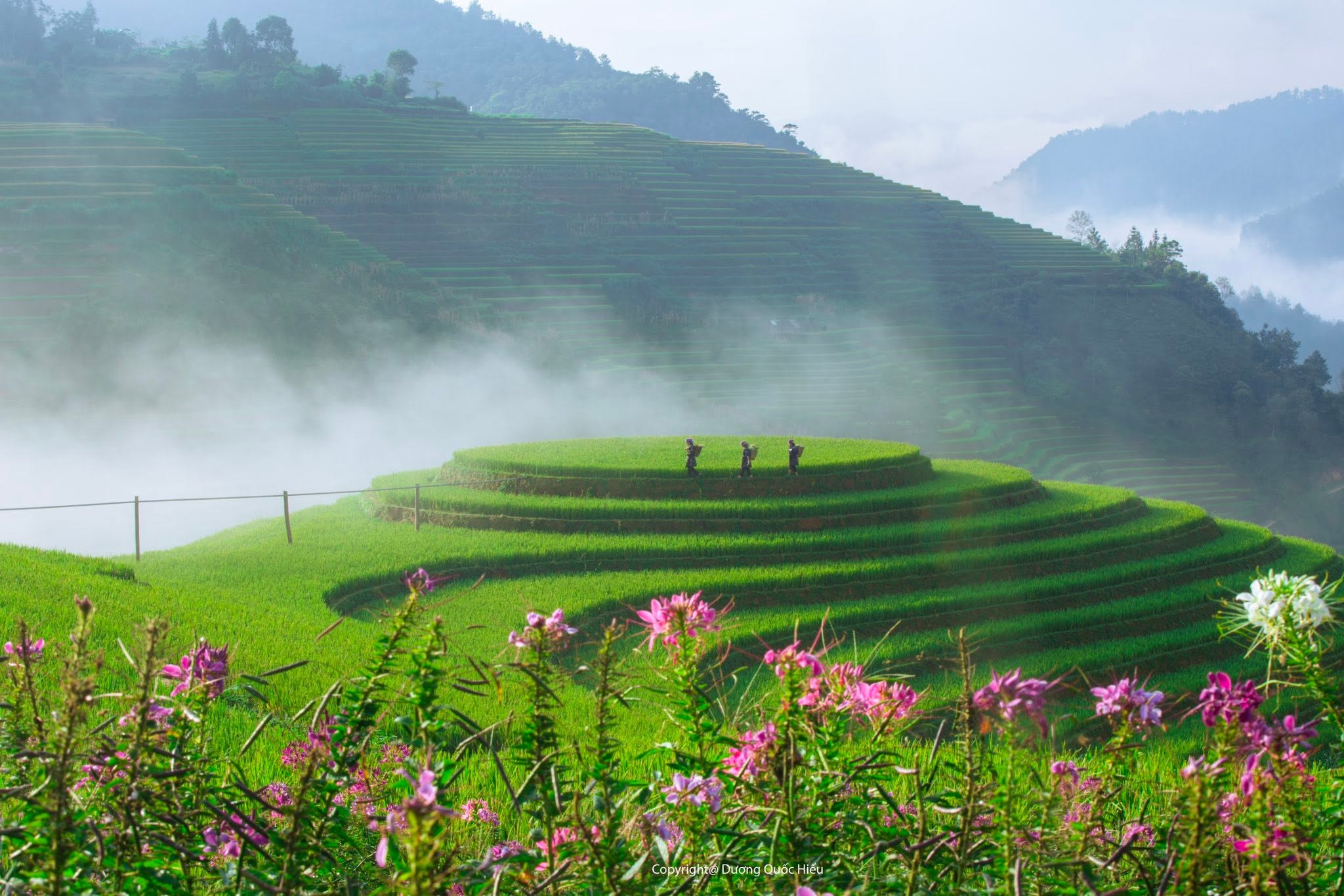 Ảnh: Dương Quốc Hiếu