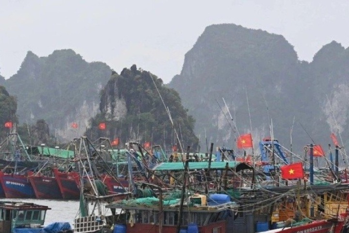 Quảng Ninh: 1 người mất tích do mưa bão, cấm biển từ 12 trưa nay