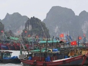 Quảng Ninh: 1 người mất tích do mưa bão, cấm biển từ 12 trưa nay