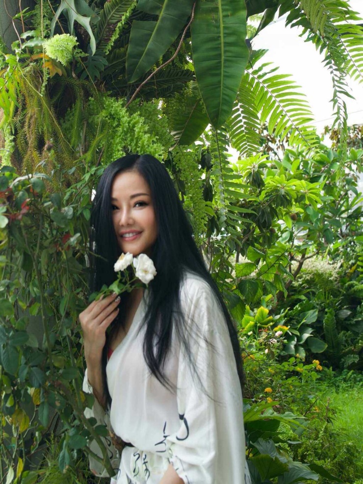 Sắc vóc Diva Hồng Nhung ở tuổi ngũ tuần.