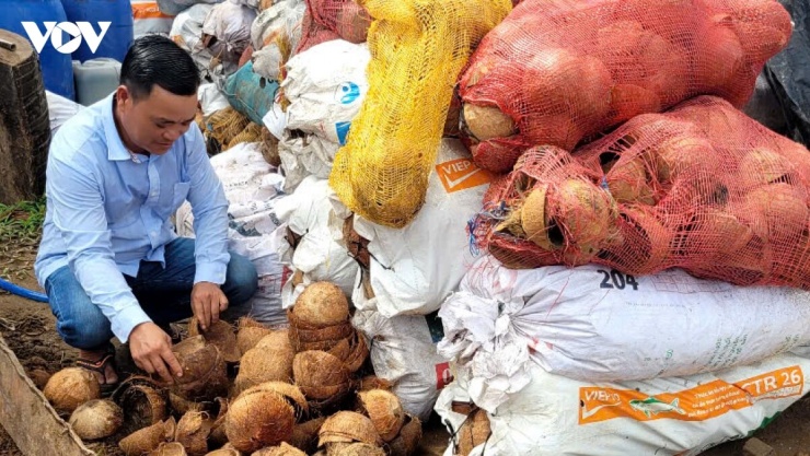 Nguyên liệu chính để làm than xuất khẩu