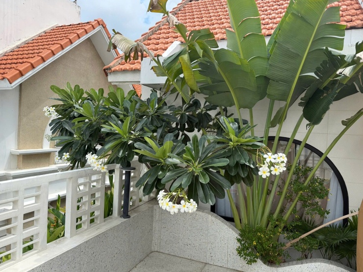 Biệt thự 1.000 m2 'phủ cây xanh mọi ngóc ngách' của Vân Trang - 6