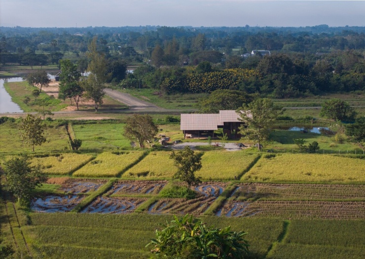 Nhà sàn 150 m2 dùng năng lượng mặt trời giữa ruộng lúa - 1
