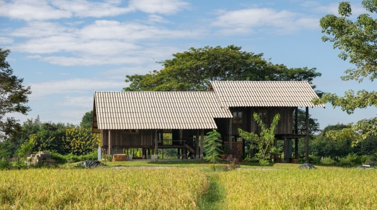 Căn nhà không tập trung vào vật liệu đắt tiền hay hình thức phức tạp. Giá trị chính của công trình nằm ở cách đặt nhà, tổ chức nước, cây xanh và năng lượng theo một hệ vận hành chung. Ngoài gia chủ, khu đất còn có chó, mèo, vịt, gà và cá trong ao sinh sống. Chim, côn trùng cùng nhiều sinh vật nhỏ cũng xuất hiện cho thấy hệ sinh thái tại đây dần ổn định.