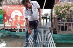 Kiếm tiền tỷ từ mô hình nuôi cá kết hợp du lịch trên sông Hậu