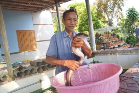 Từng mất tiền tỷ vì thất bại, một người Bình Định (tỉnh Gia Lai mới) nay thu nửa tỷ/năm nhờ loài cá đẻ dưới biển sâu