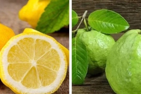 Ổi và chanh, loại quả nào chứa nhiều vitamin C hơn? Kết quả khiến nhiều người bất ngờ