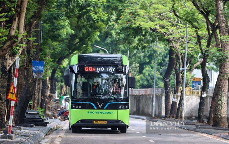 Các tuyến xe buýt thuận lợi cho người dân đi lại.