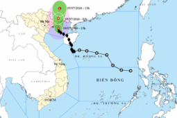 Bão số 1 áp sát Quảng Ninh, ven biển gió giật cấp 11