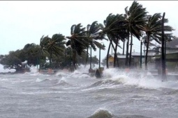 Bão số 1 Maysak giật cấp 11 trên khu vực ven biển Quảng Ninh, biển động rất mạnh