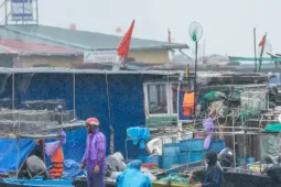 Ngư dân dầm mưa, chạy đua giữ tàu trước giờ bão số 1 đổ bộ