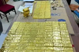 Thu 78kg vàng, hàng triệu USD và nhiều bất động sản trị giá trăm tỷ của Mr Pips