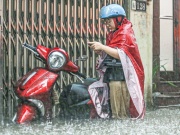 Dự báo thời tiết 4/7: Miền Bắc mưa xối xả, nguy cơ xuất hiện lũ gây ngập lụt